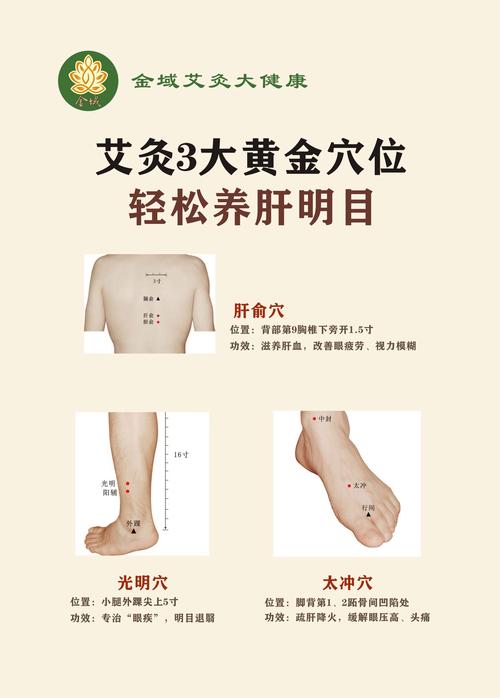 肝炎按哪个穴位最好