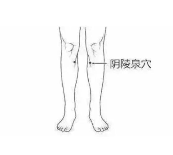 穴位阴陵泉穴在哪里