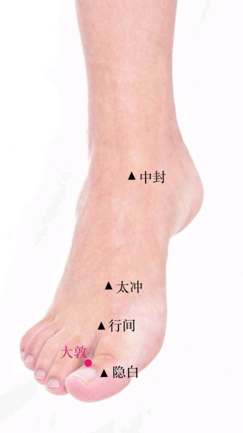 腿部脚脖子附近穴位