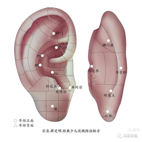 按耳朵穴位预防近视