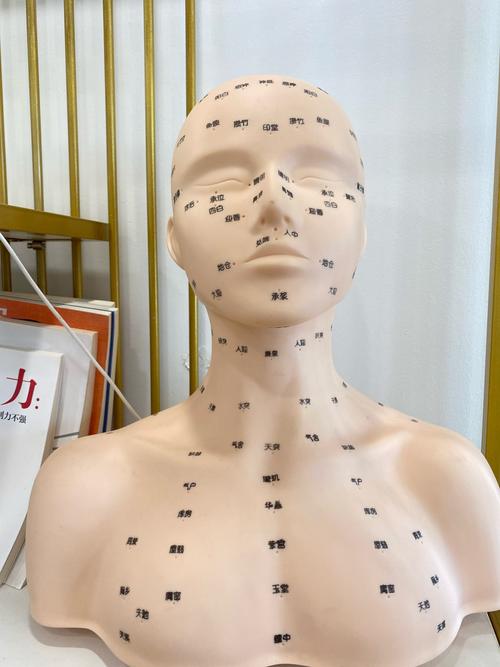 痤疮针灸穴位有哪些