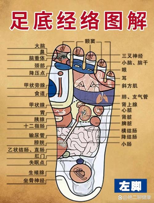 大脚趾边上什么穴位