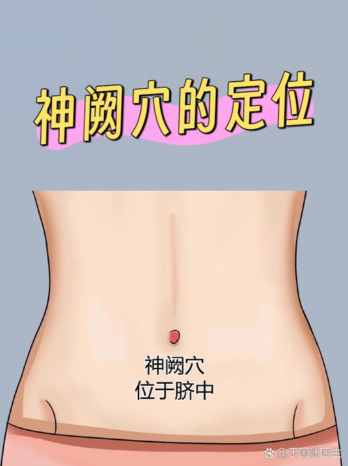 人体穴位图女性腹部