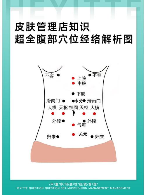 人体穴位图女性腹部