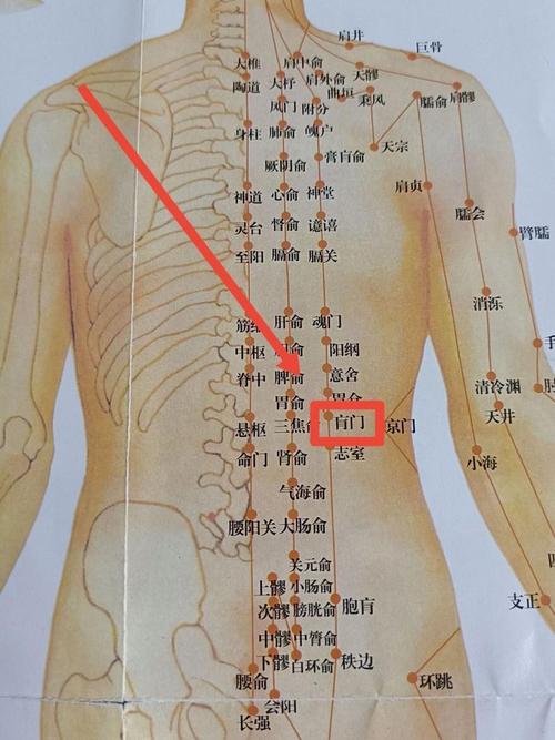 肚脐背后对应的穴位