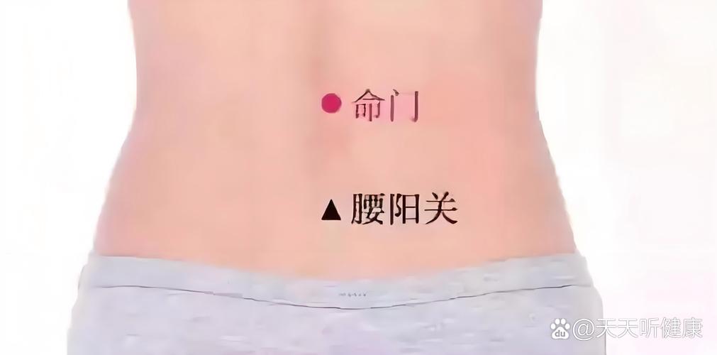 肚脐背后对应的穴位
