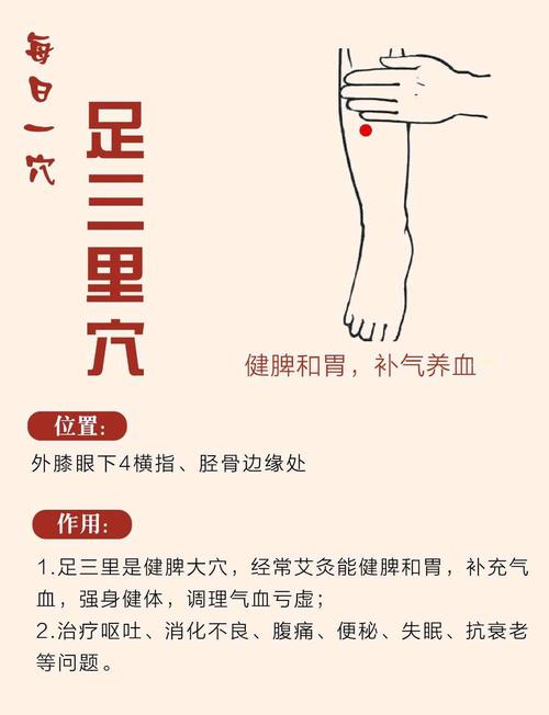 下肢冰凉按什么穴位