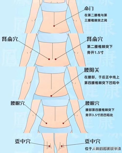 人体腰部有哪些穴位
