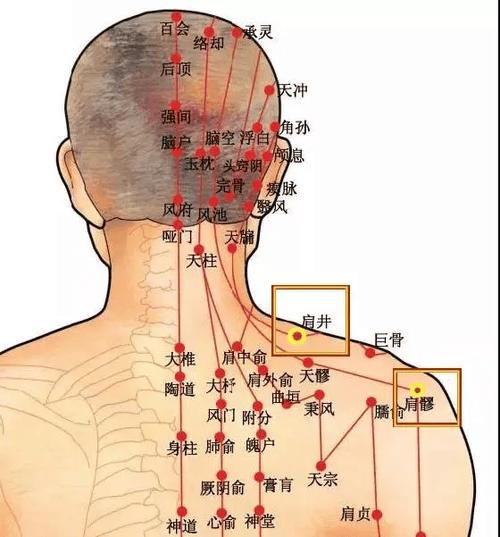 肩膀风湿灸哪些穴位