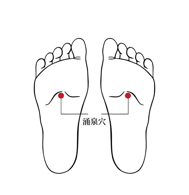 脚底穴位那个是肾脏