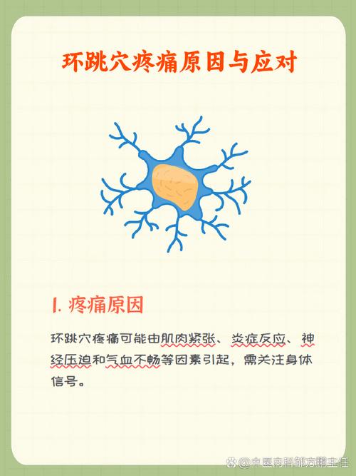 环跳穴位的准确位置