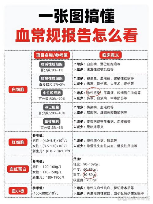 类风湿查血能查出来吗