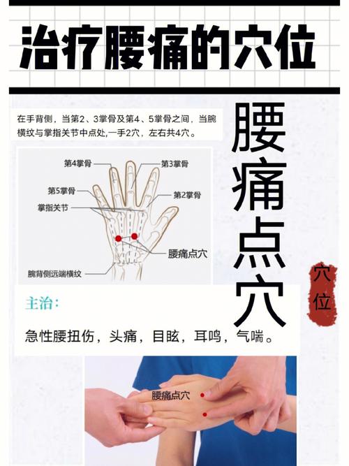 腰疼对应什么穴位图