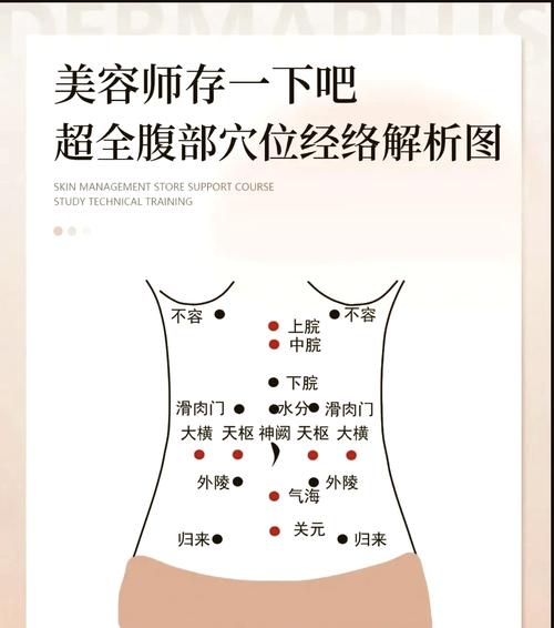 肚脐对应什么穴位图