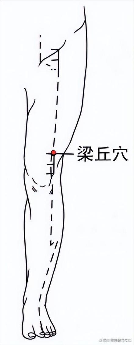 火罐减肥打什么穴位