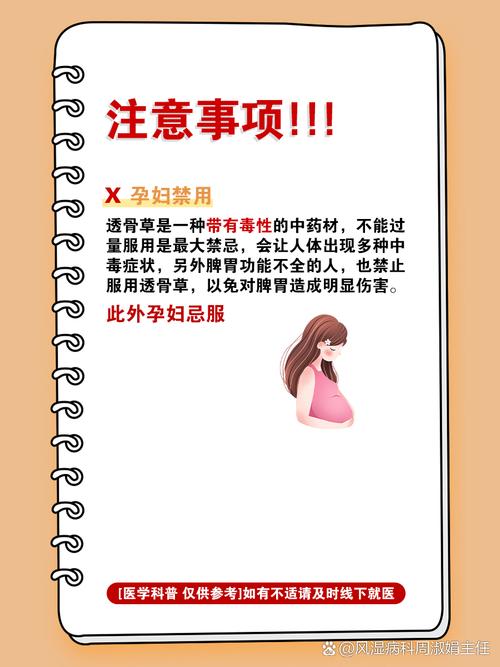 透骨草怎么用治类风湿