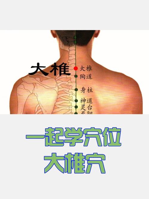大椎疼按摩哪个穴位