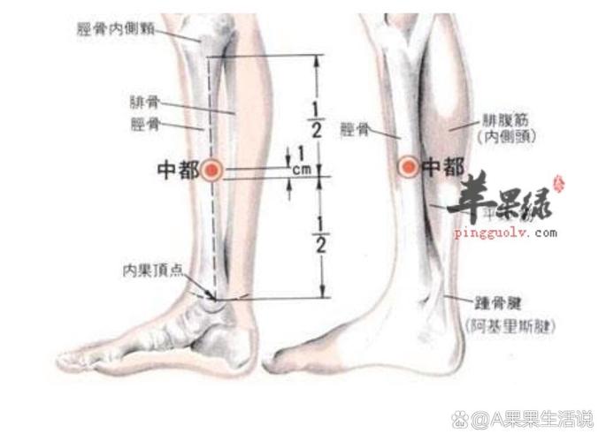 中都穴位浮肿的原因