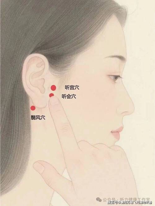 耳门听宫听会穴位图