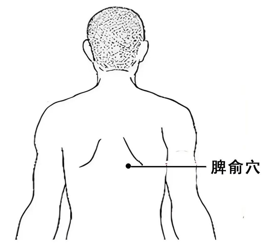 中了暑气按哪个穴位