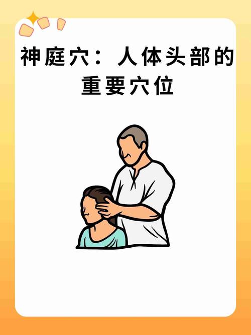 神庭穴位于什么部位