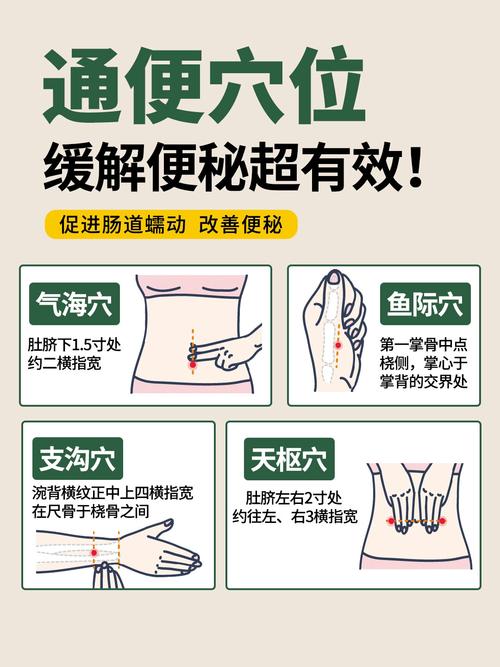 哪个穴位是快速大便