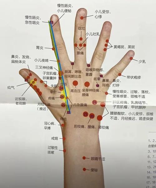 手上哪个穴位治阳痿