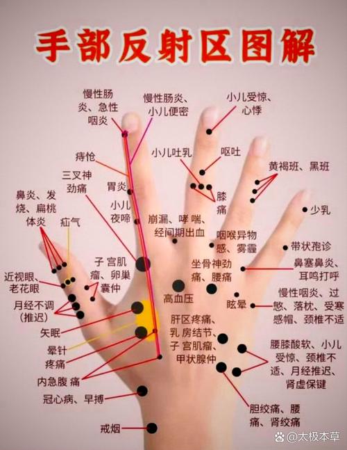 手上哪个穴位治阳痿