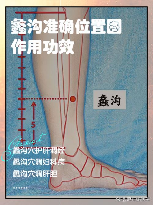 消除腿脚浮肿的穴位