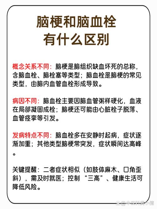 脑血栓和脑梗有啥区别