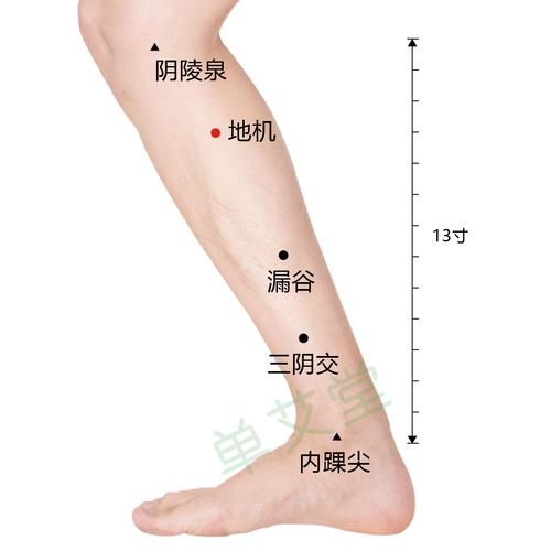 艾灸治疗尿潴留穴位