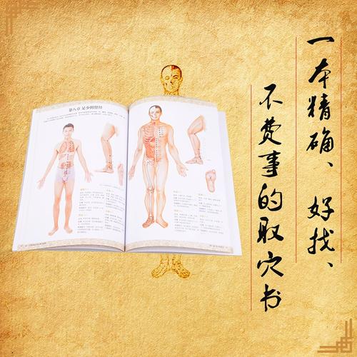 中医穴位书籍哪个好