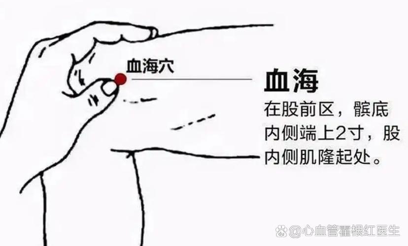 血於 不孕按摩穴位