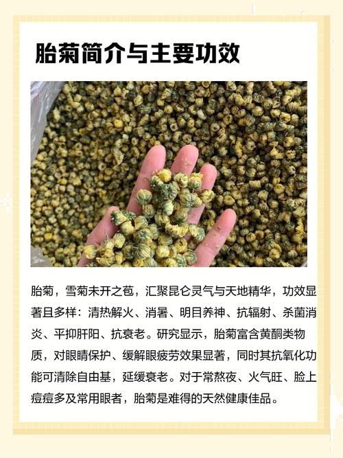 胎菊有去风湿的作用吗