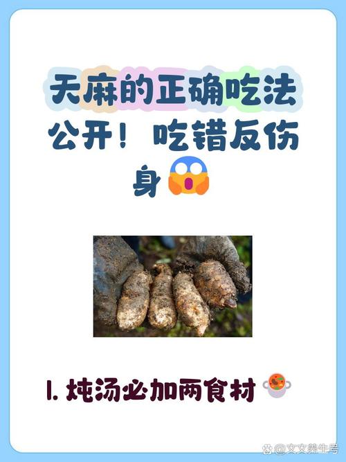 天麻治风湿和关节炎吗