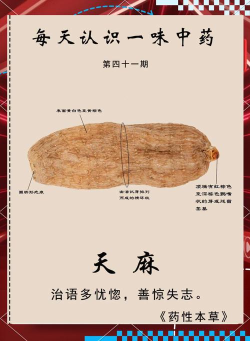 天麻治风湿和关节炎吗