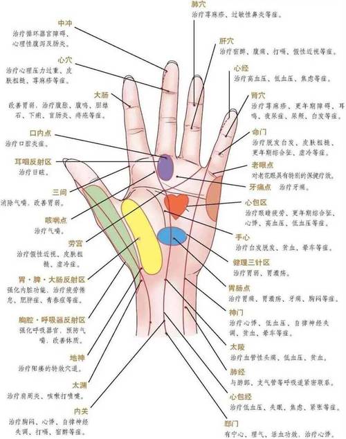 手部穴位图解 彩图