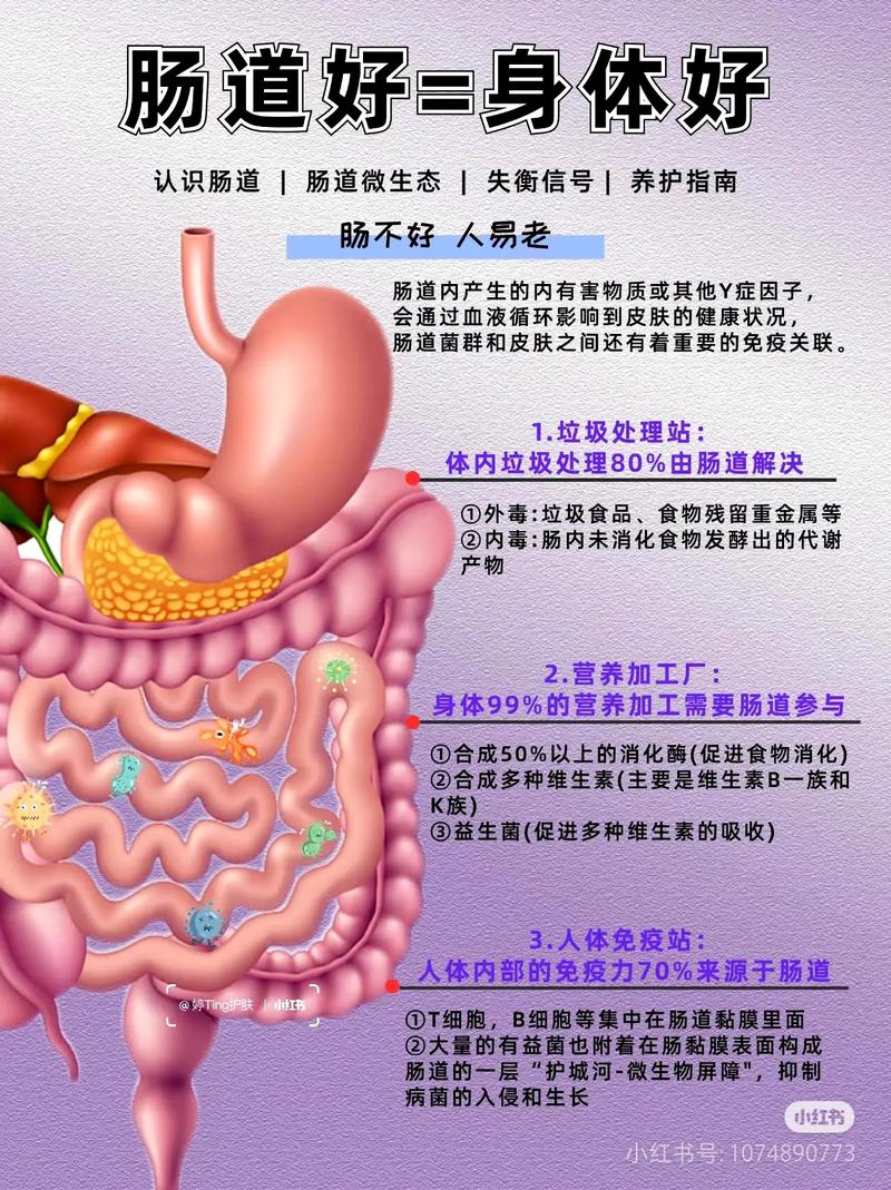 有脑梗的人为什么便秘