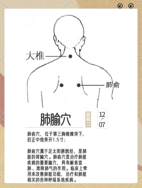 治疗支气管肺炎穴位