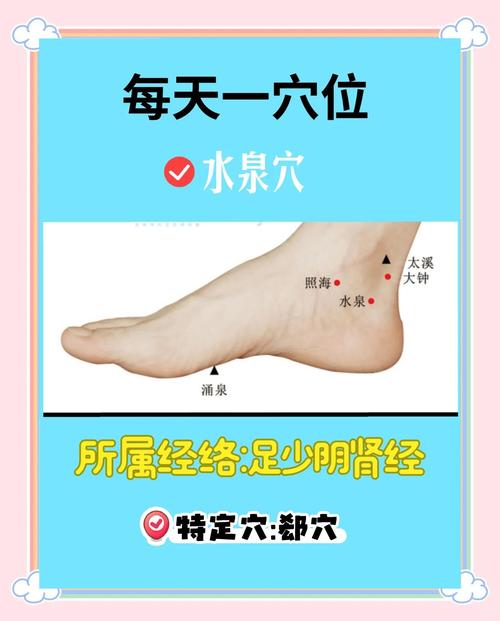 针灸穴位视频水泉穴