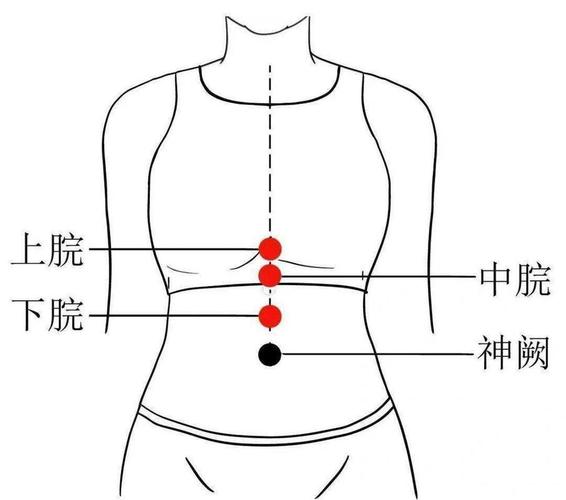 胃消化不好中医穴位