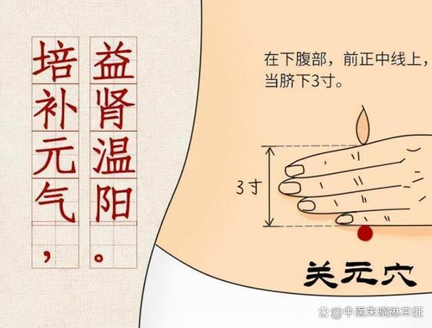 阳痿.早泄的穴位图