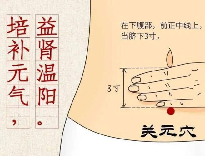 温肾壮阳 4 穴位