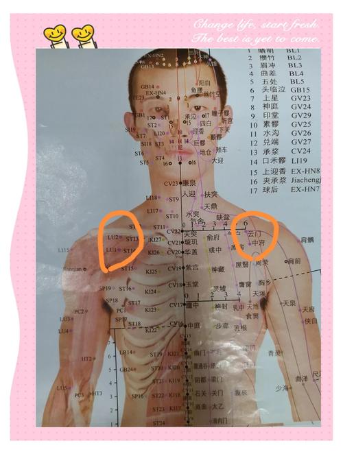 寻找穴位的正确方法