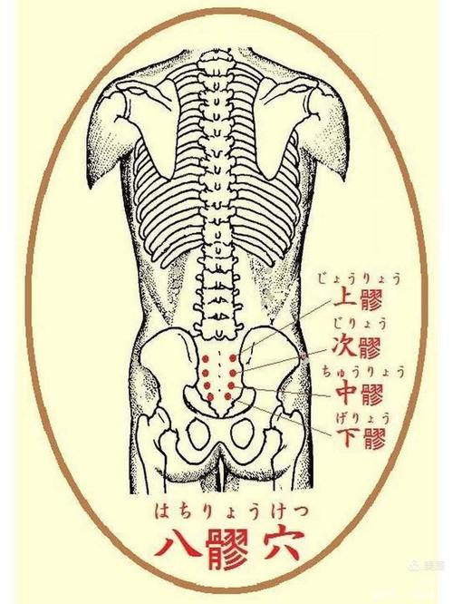 臀部周围有哪些穴位