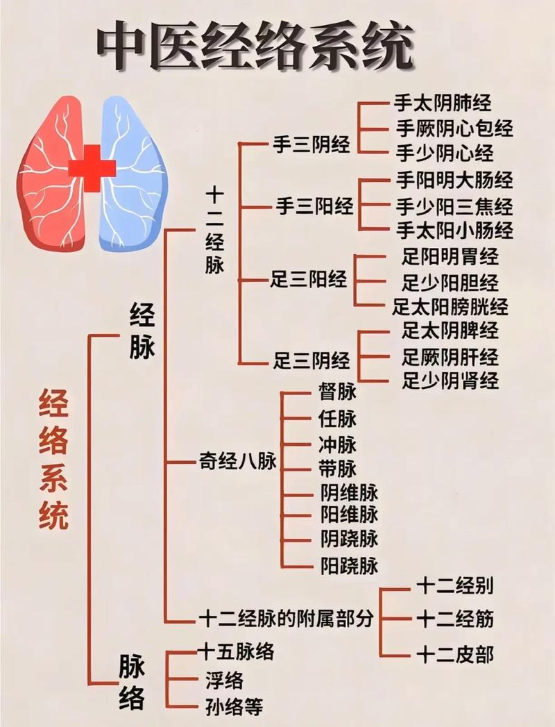 十二经络与穴位位置