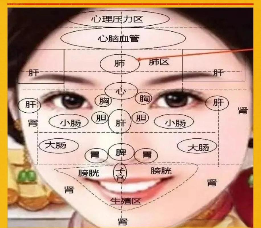 脸色不好按什么穴位