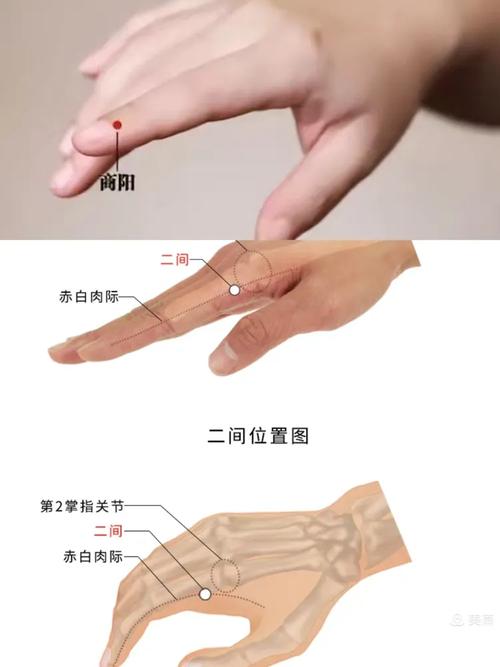 手上那个穴位治便秘