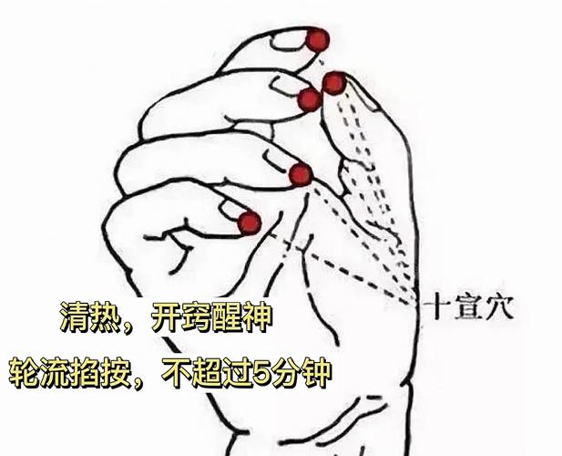 退热可以推哪些穴位