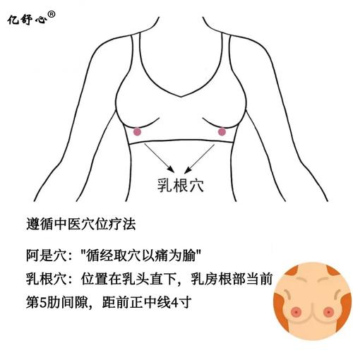 乳腺问题对应的穴位